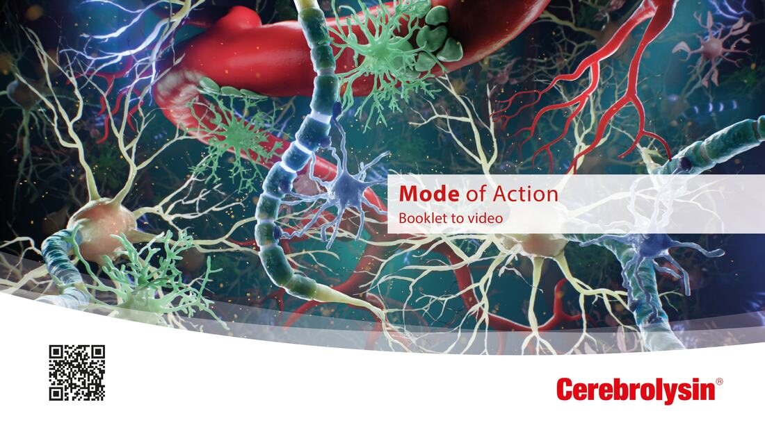 Cerebrolysin mechanism of action booklet illustration