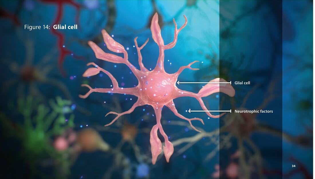 Cerebrolysin clinical mechanism illustration