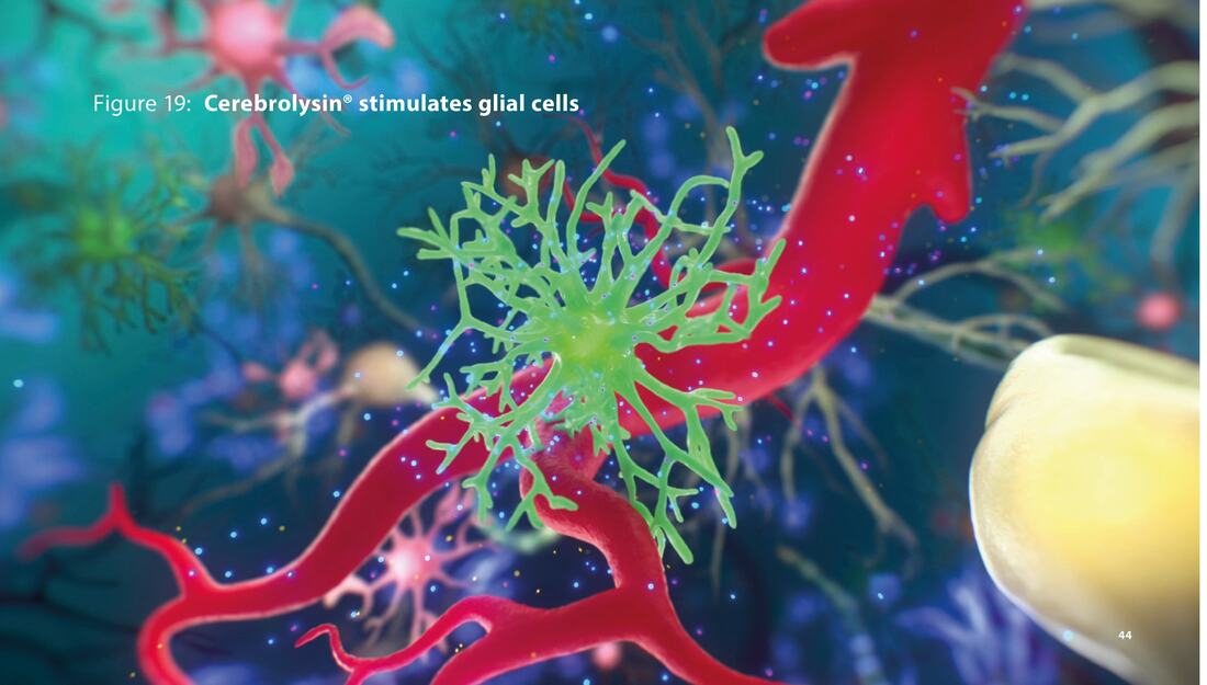 Cerebrolysin neuroprotection clinical study illustration