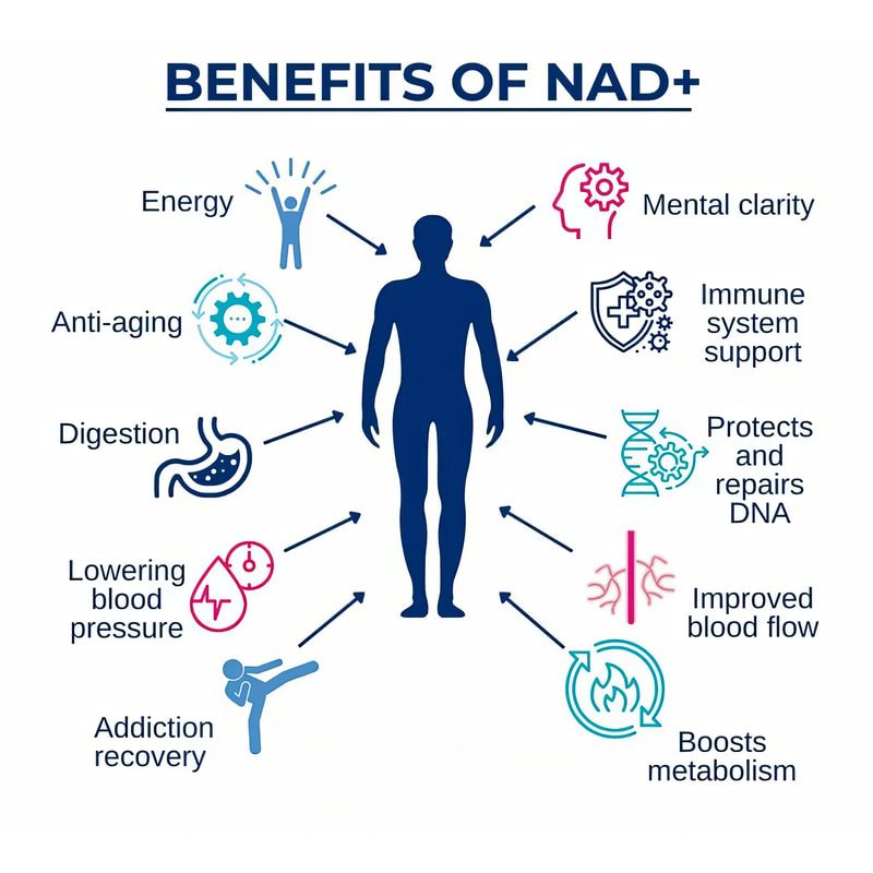 NAD+ IV therapy promotional design at Cabo Health