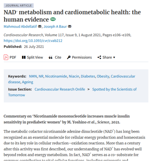 NAD+ IV therapy in San Jose del Cabo
