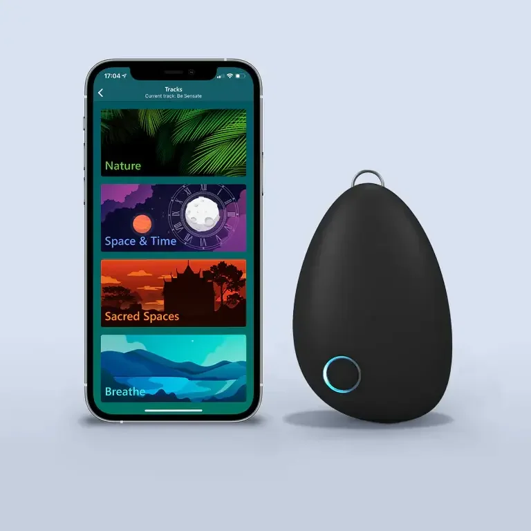 Sensate companion mobile app with soundscapes