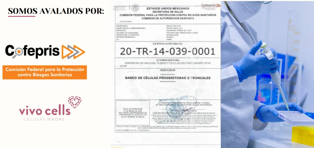 Infografía de la alianza de medicina regenerativa entre Cabo Health y VIVO CELLS