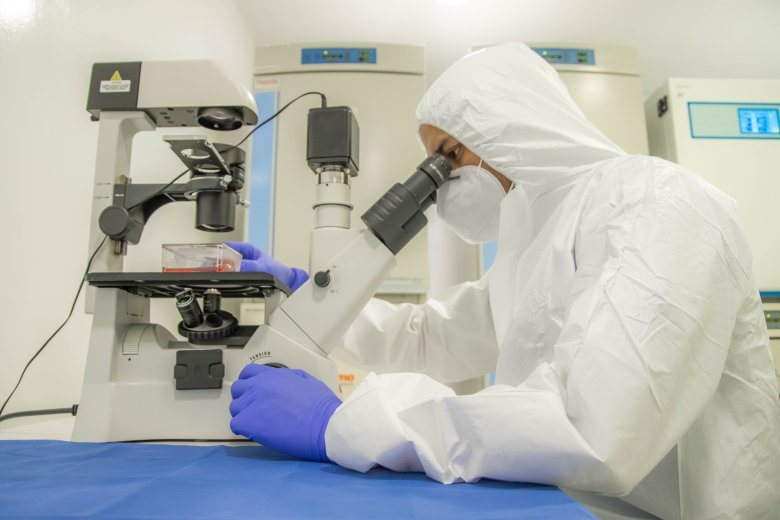 Procesamiento de células madre en el laboratorio VIVO CELLS