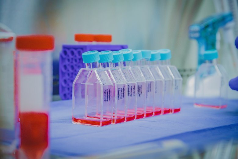 Pruebas de control de calidad de células madre en VIVO CELLS